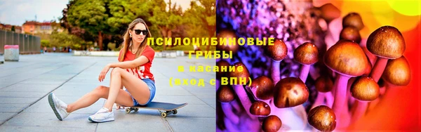 MESCALINE Осинники