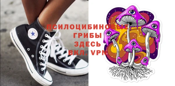 прущие крисы Осташков