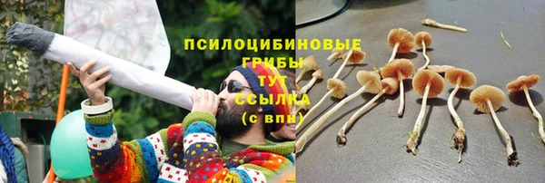 прущие крисы Осташков