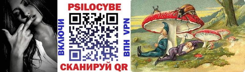 Купить закладки Тавда Псилоцибиновые грибы MAGIC MUSHROOMS